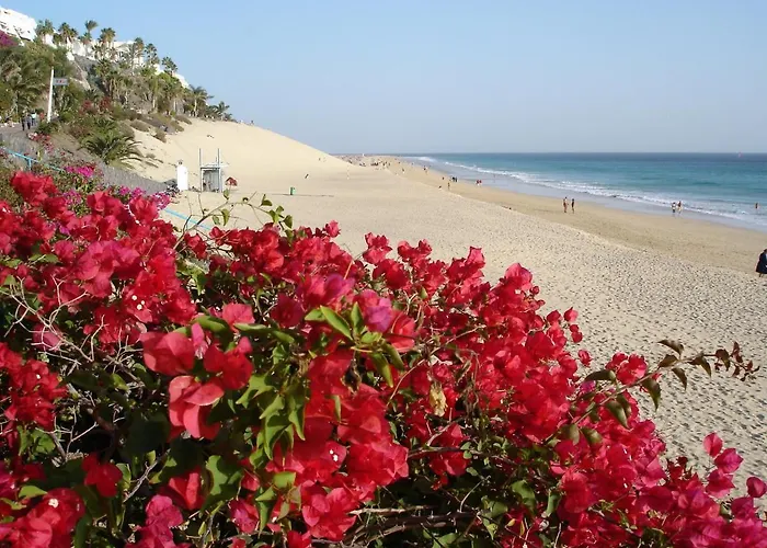 Apartment Casa Ricardo Surfers Morro Jable (Fuerteventura)