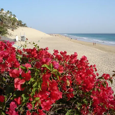Apartment Richmood Apartments - Surfers Studio Morro Jable (Fuerteventura)